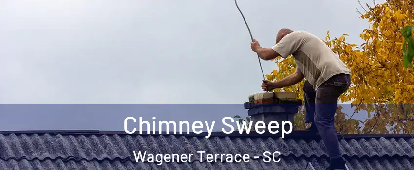 Chimney Sweep Wagener Terrace - SC