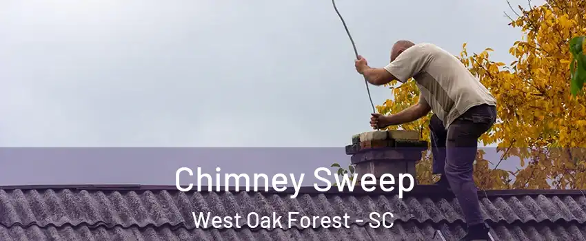 Chimney Sweep West Oak Forest - SC