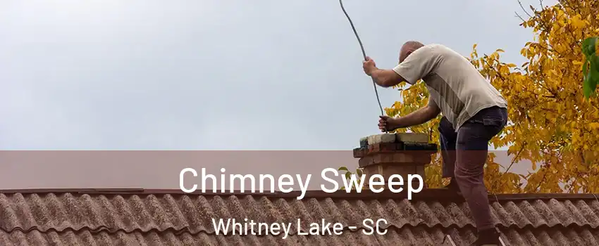 Chimney Sweep Whitney Lake - SC