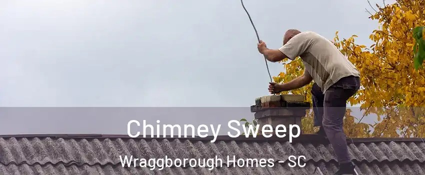 Chimney Sweep Wraggborough Homes - SC