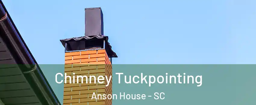 Chimney Tuckpointing Anson House - SC