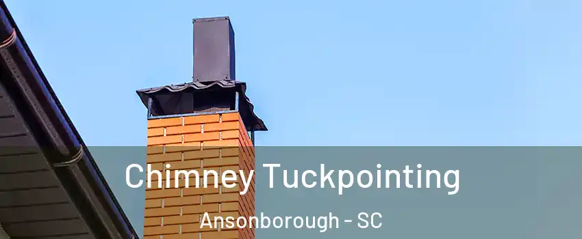 Chimney Tuckpointing Ansonborough - SC