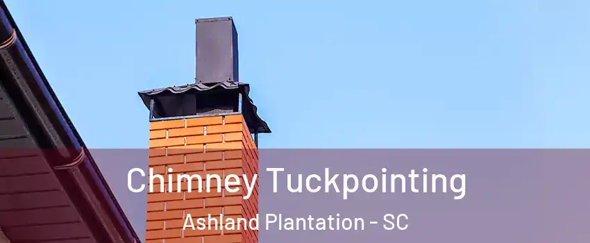 Chimney Tuckpointing Ashland Plantation - SC