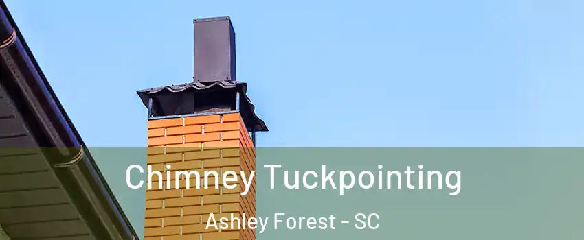 Chimney Tuckpointing Ashley Forest - SC