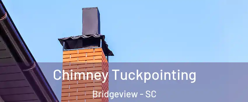 Chimney Tuckpointing Bridgeview - SC