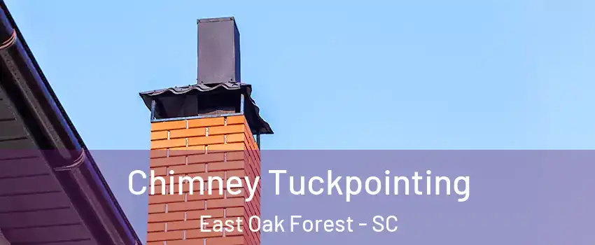 Chimney Tuckpointing East Oak Forest - SC