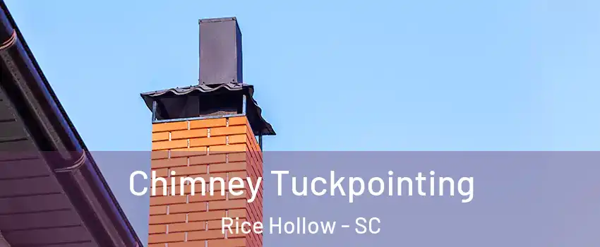 Chimney Tuckpointing Rice Hollow - SC