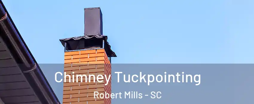 Chimney Tuckpointing Robert Mills - SC