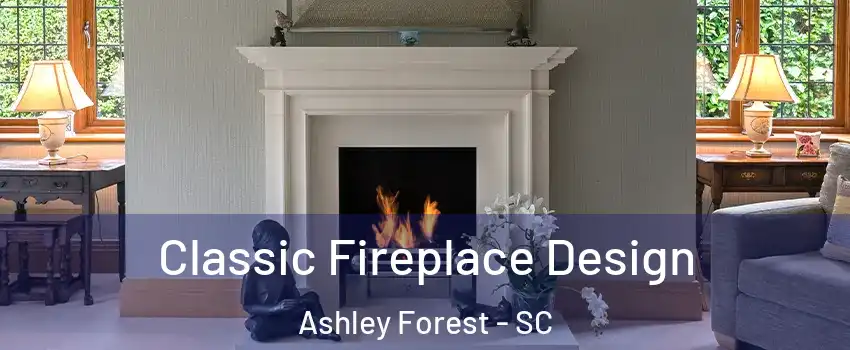 Classic Fireplace Design Ashley Forest - SC