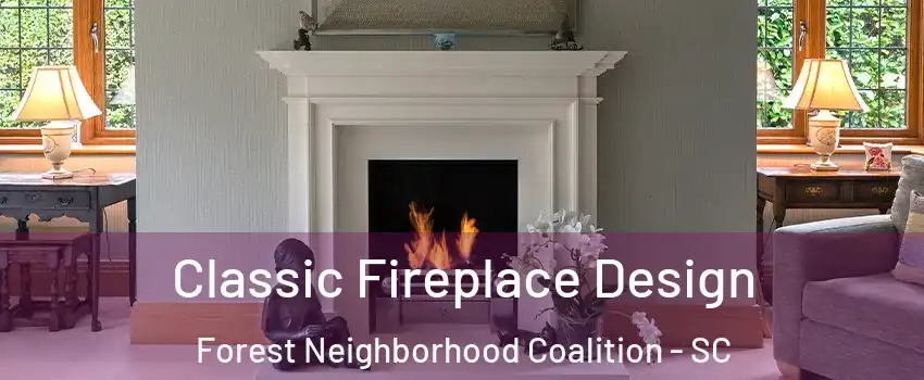 Classic Fireplace Design Forest Neighborhood Coalition - SC