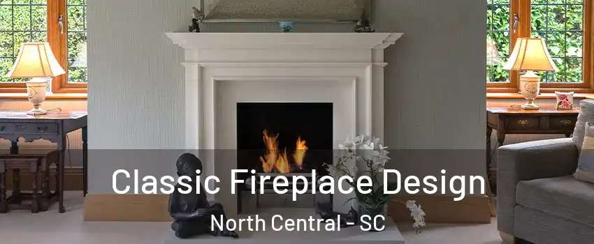 Classic Fireplace Design North Central - SC