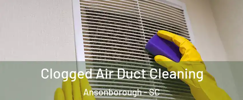 Clogged Air Duct Cleaning Ansonborough - SC