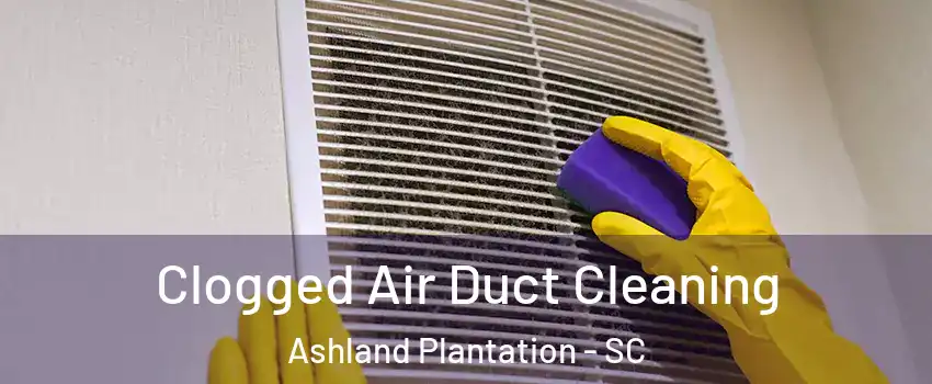 Clogged Air Duct Cleaning Ashland Plantation - SC