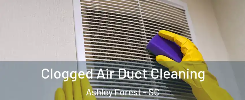 Clogged Air Duct Cleaning Ashley Forest - SC