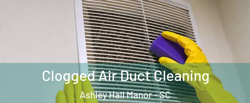 Clogged Air Duct Cleaning Ashley Hall Manor - SC