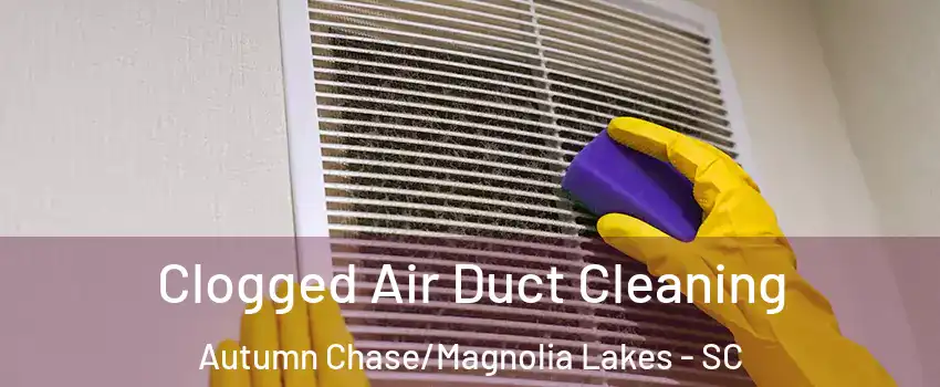 Clogged Air Duct Cleaning Autumn Chase/Magnolia Lakes - SC