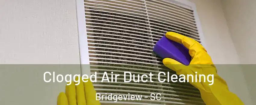 Clogged Air Duct Cleaning Bridgeview - SC