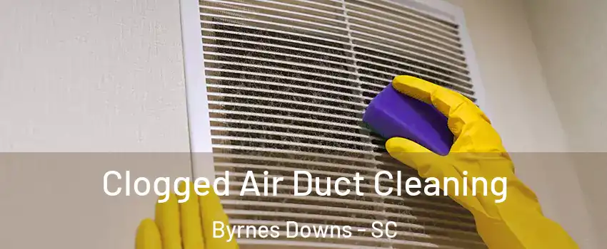 Clogged Air Duct Cleaning Byrnes Downs - SC