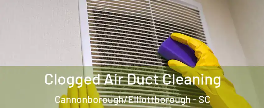 Clogged Air Duct Cleaning Cannonborough/Elliottborough - SC