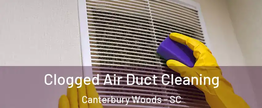 Clogged Air Duct Cleaning Canterbury Woods - SC