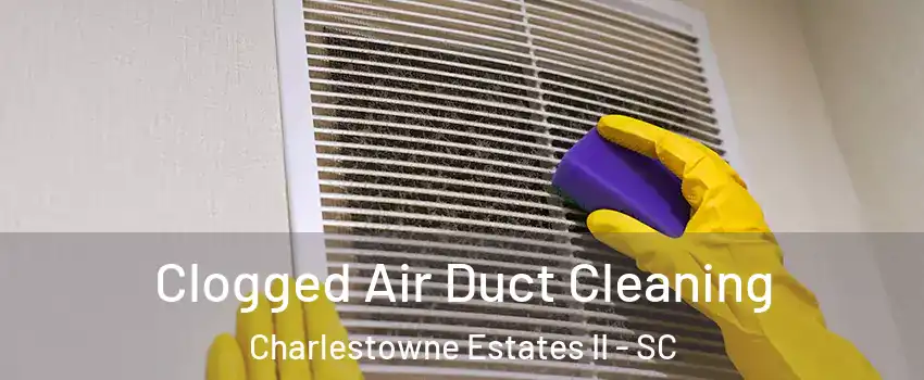 Clogged Air Duct Cleaning Charlestowne Estates II - SC