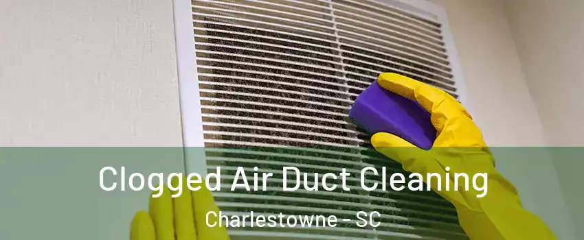 Clogged Air Duct Cleaning Charlestowne - SC