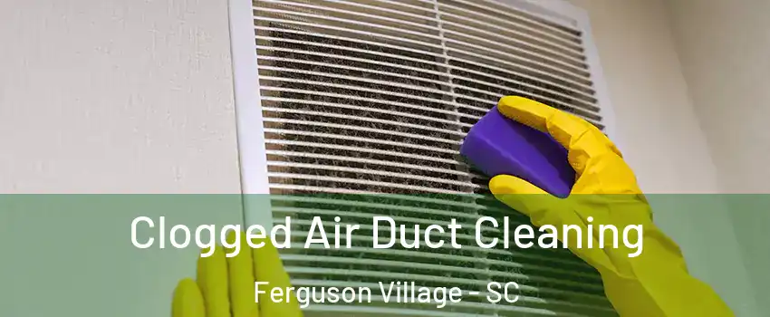 Clogged Air Duct Cleaning Ferguson Village - SC