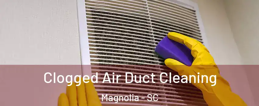 Clogged Air Duct Cleaning Magnolia - SC