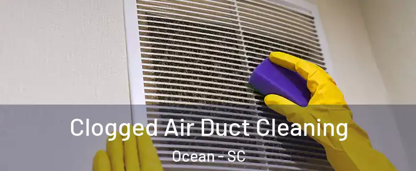 Clogged Air Duct Cleaning Ocean - SC