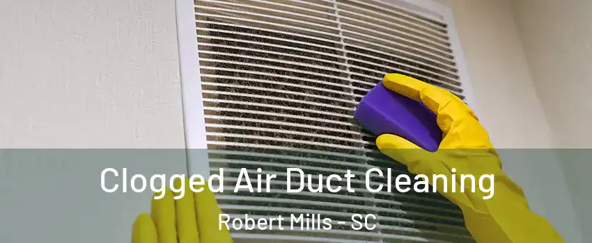 Clogged Air Duct Cleaning Robert Mills - SC