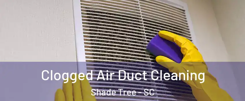 Clogged Air Duct Cleaning Shade Tree - SC