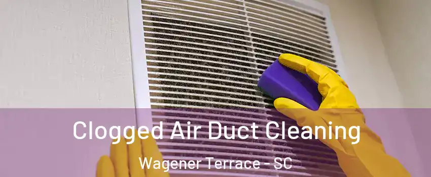 Clogged Air Duct Cleaning Wagener Terrace - SC