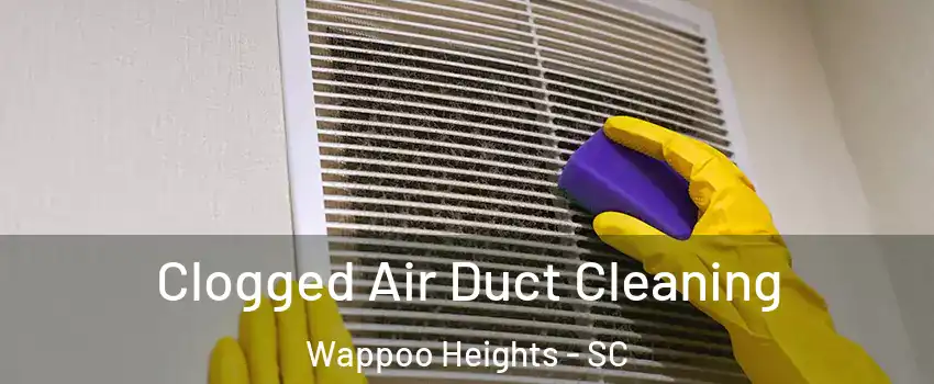 Clogged Air Duct Cleaning Wappoo Heights - SC