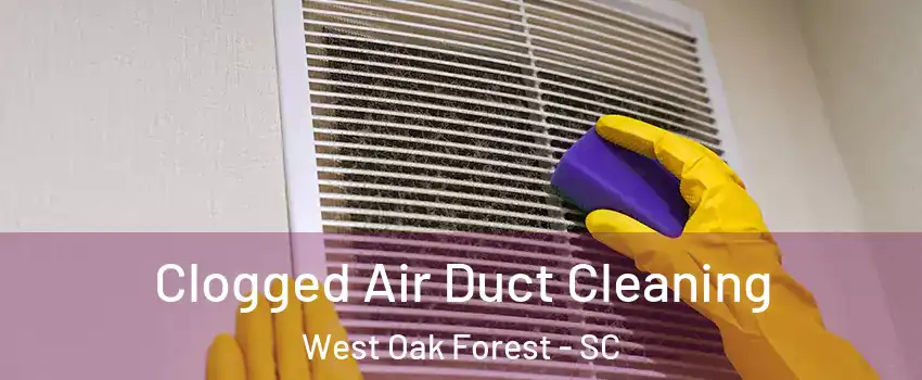 Clogged Air Duct Cleaning West Oak Forest - SC