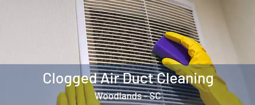 Clogged Air Duct Cleaning Woodlands - SC