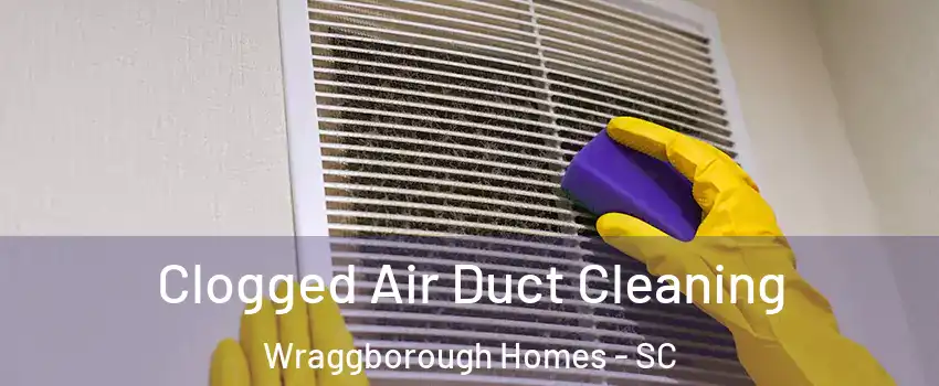 Clogged Air Duct Cleaning Wraggborough Homes - SC