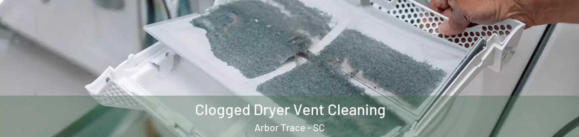 Clogged Dryer Vent Cleaning Arbor Trace - SC