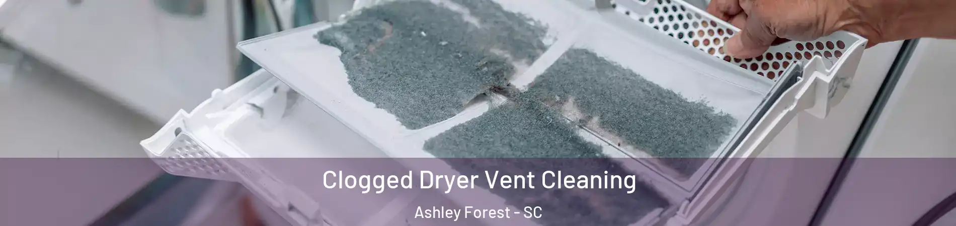 Clogged Dryer Vent Cleaning Ashley Forest - SC