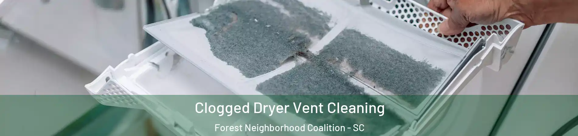 Clogged Dryer Vent Cleaning Forest Neighborhood Coalition - SC