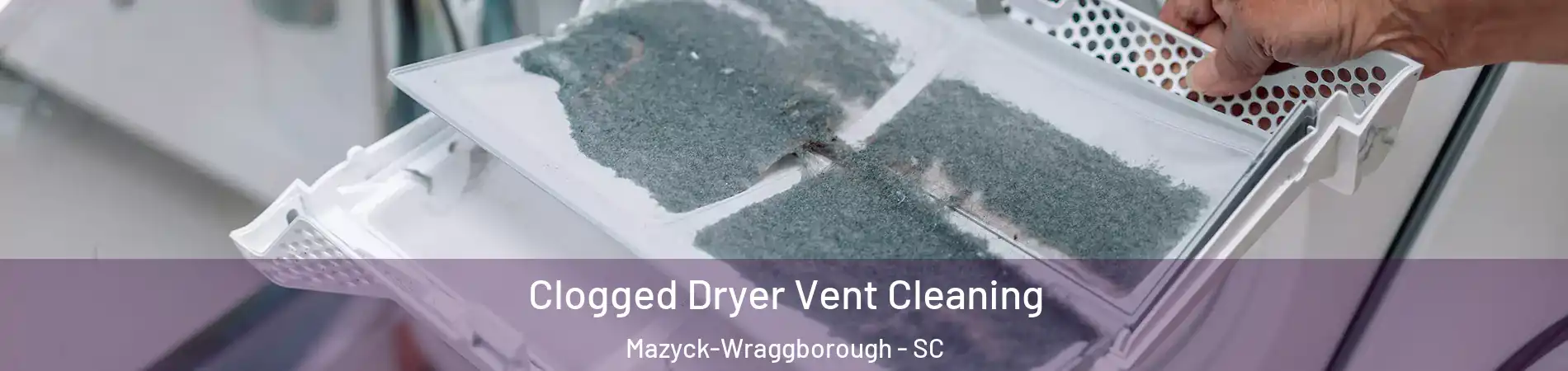 Clogged Dryer Vent Cleaning Mazyck-Wraggborough - SC