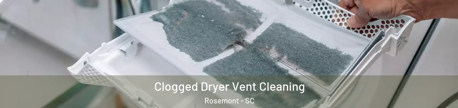 Clogged Dryer Vent Cleaning Rosemont - SC