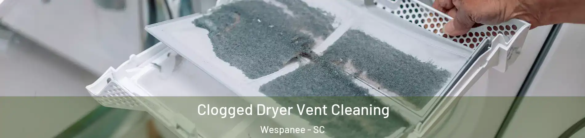 Clogged Dryer Vent Cleaning Wespanee - SC