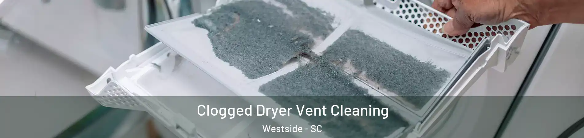 Clogged Dryer Vent Cleaning Westside - SC