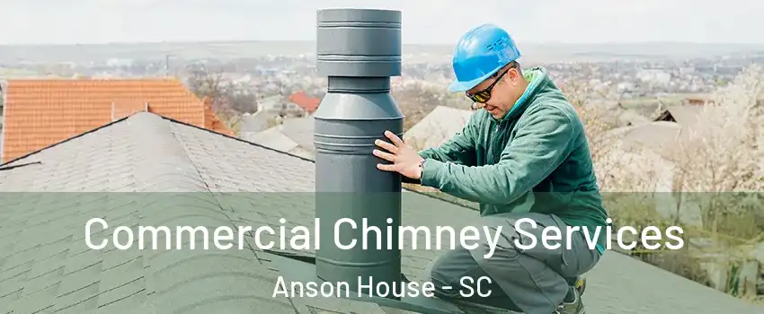 Commercial Chimney Services Anson House - SC