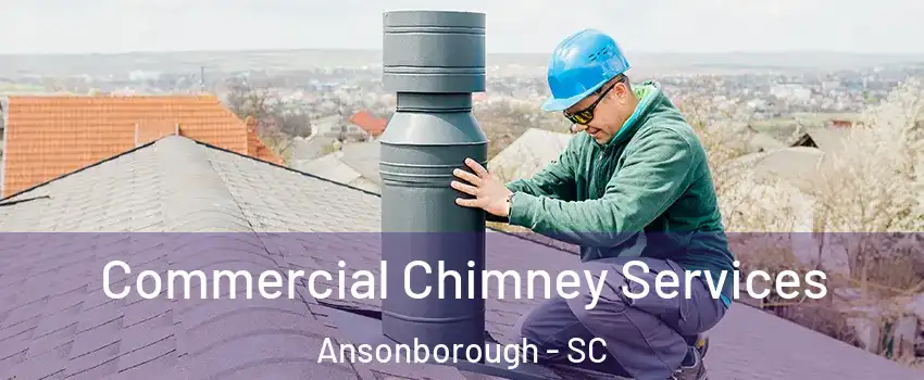 Commercial Chimney Services Ansonborough - SC