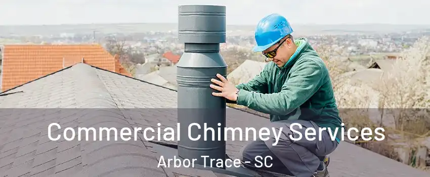 Commercial Chimney Services Arbor Trace - SC