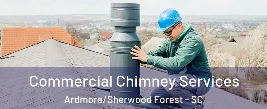 Commercial Chimney Services Ardmore/Sherwood Forest - SC