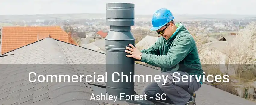 Commercial Chimney Services Ashley Forest - SC