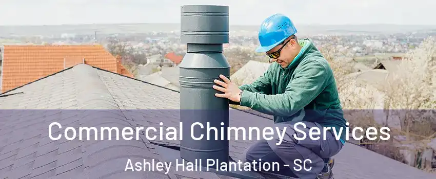 Commercial Chimney Services Ashley Hall Plantation - SC