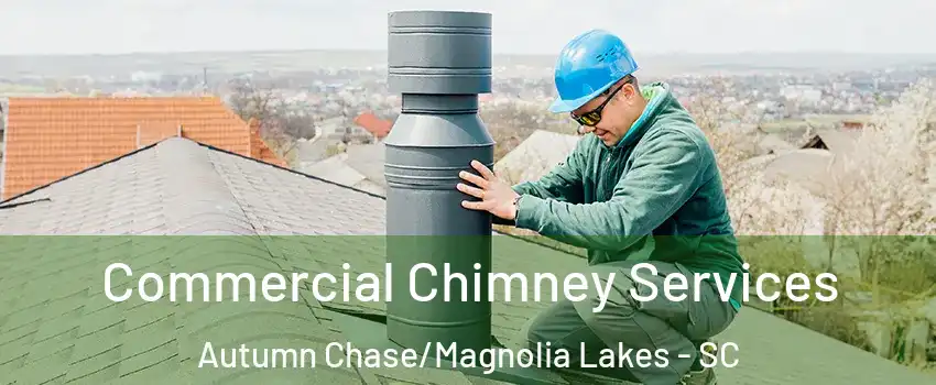 Commercial Chimney Services Autumn Chase/Magnolia Lakes - SC